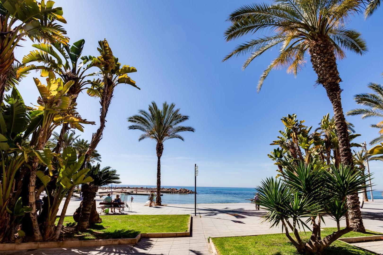 Apartamento Ramon Torrevieja Zewnętrze zdjęcie
